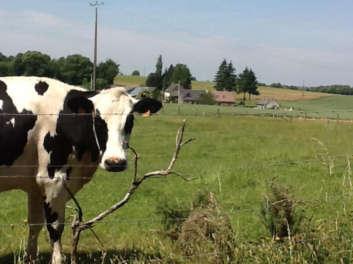 Maison De Campagne Avec Spa, Proche De Vergers Et Cite Medievale, Animaux Acceptes, Recharge Electrique - Fr-1-497-101 L’Épinay-le-Comte Kültér fotó